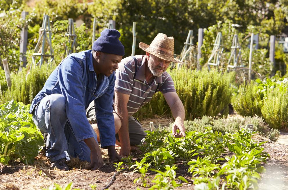 Twee mensen die in de tuin aan het werken zijn