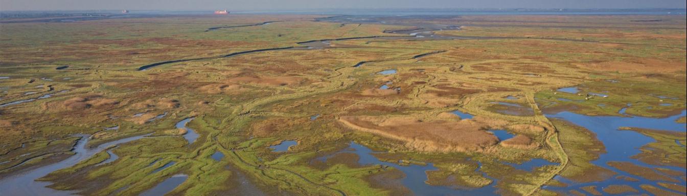 Beeld Beleefbare Schelde verdronken land van Saefthinge